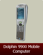 Dolphin9900